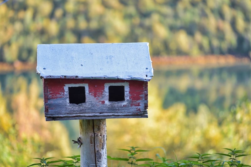 DIY Birdhouses
