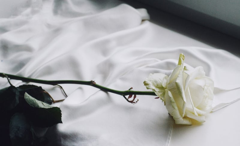 Paper Flower Backdrop
