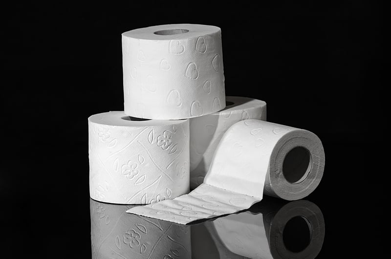 Toilet Paper Roll Gift Boxes